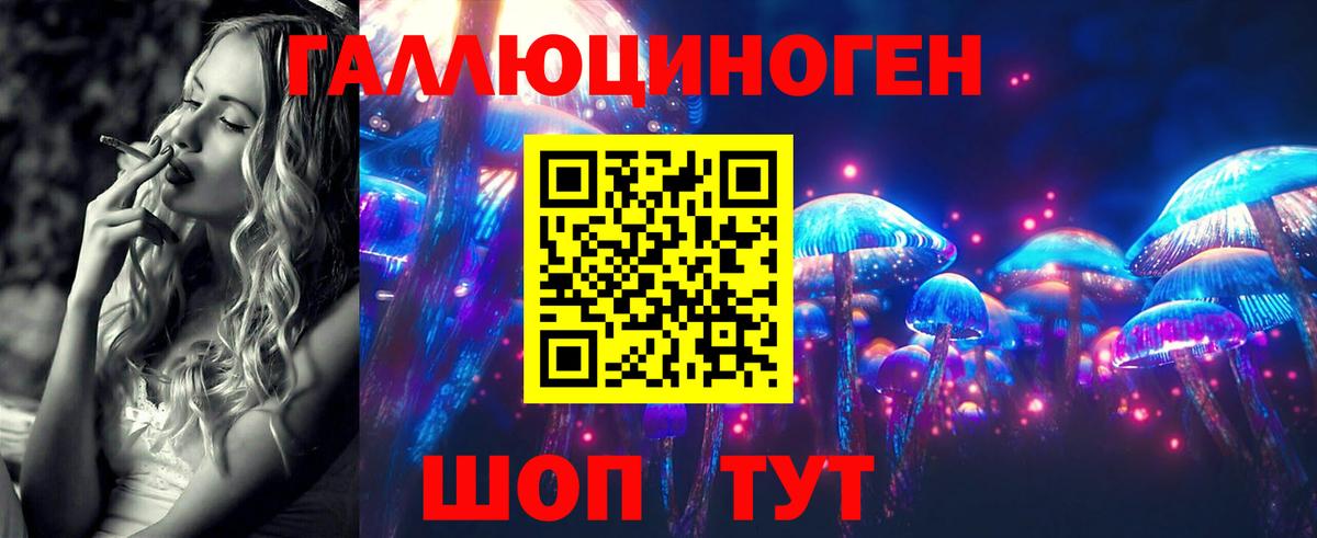 Искитим  Галлюциногенные грибы Psilocybe  Вход с VPN  Псилоцибиновые грибы MAGIC MUSHROOMS 