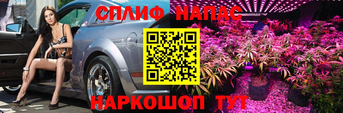 Конопля MAZAR Искитим